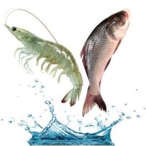 Aquaculture