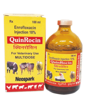 QuinRocin Injection