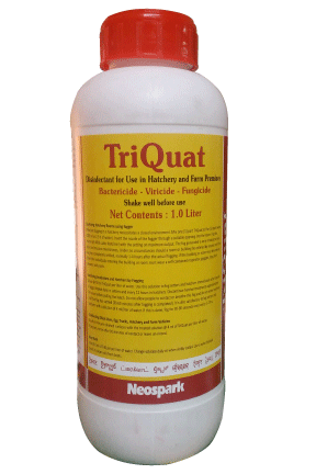 TriQuat