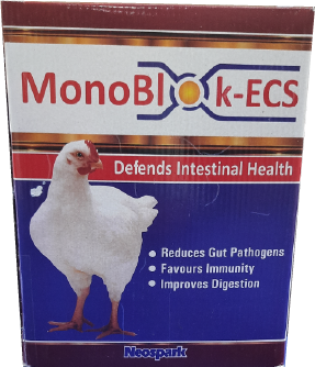 MonoBlok-ECS