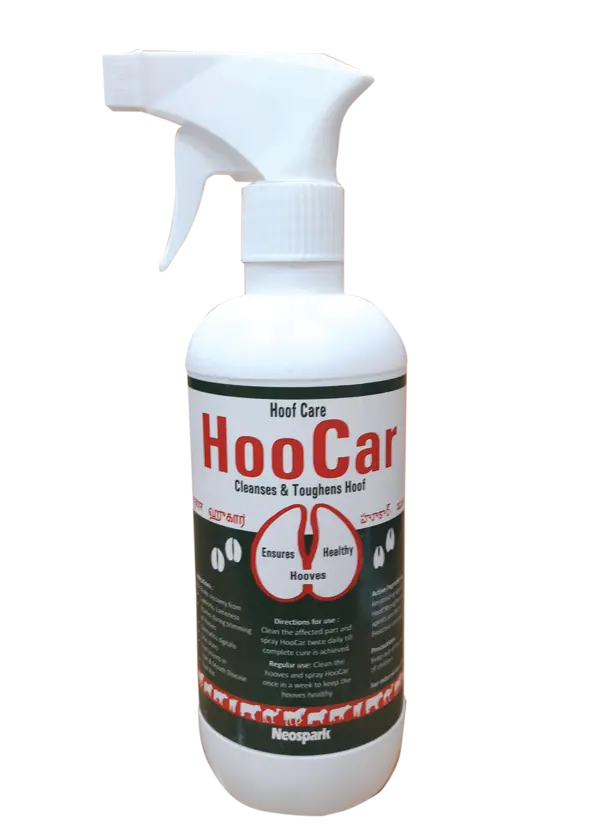 HooCar®