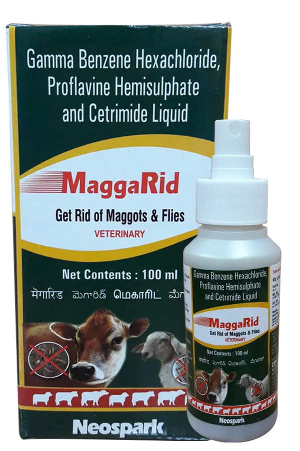 MaggaRid