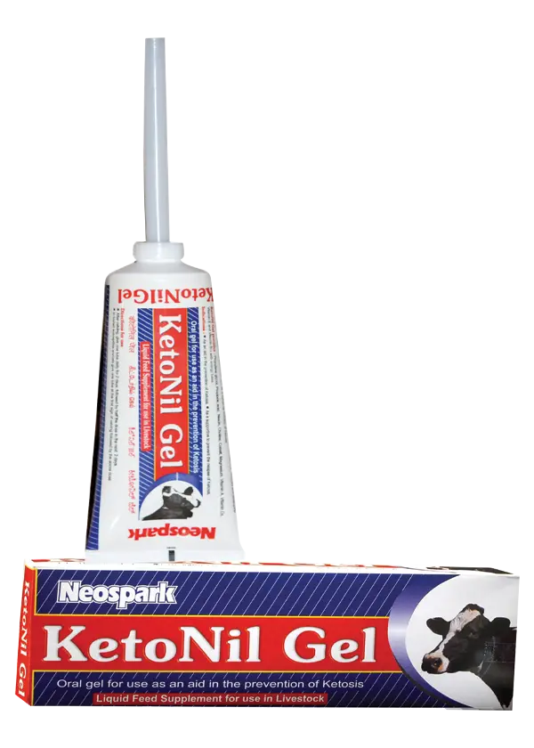 KetoNil Gel
