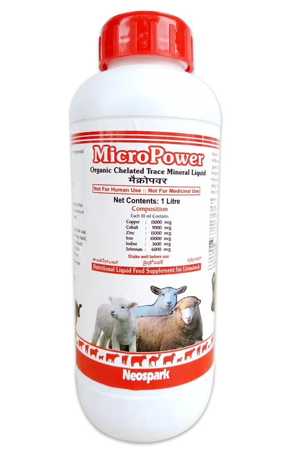 MicroPower