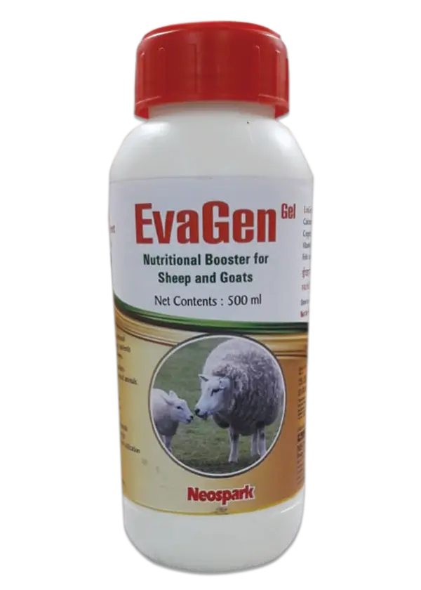 EvaGen Gel
