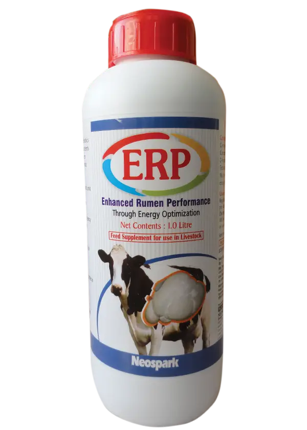 ERP