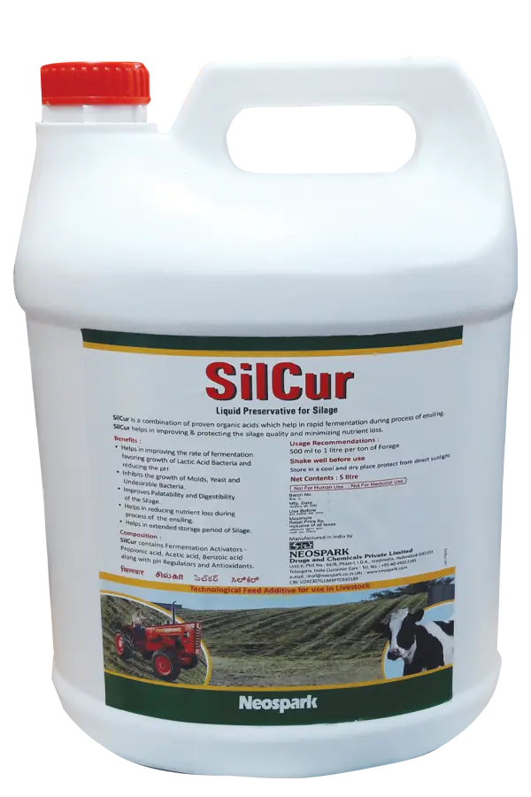 SilCur