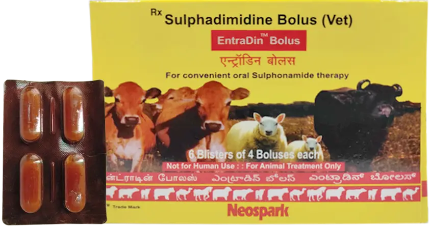 EntraDin Bolus