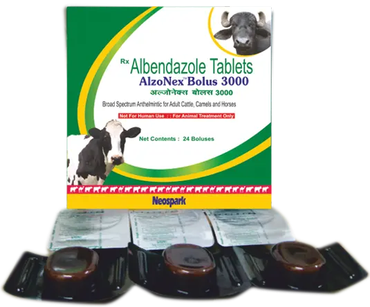 AlzoNex Bolus 3000