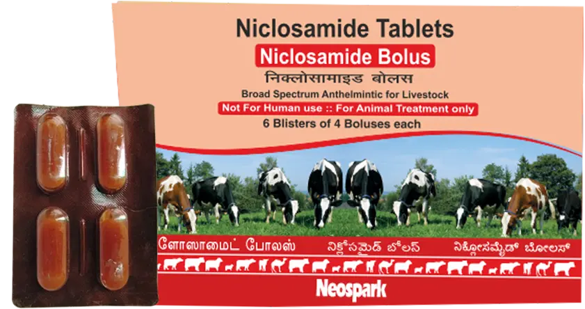 Niclosamide Bolus 1.0 gm