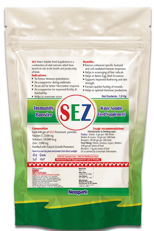 SEZ W/S