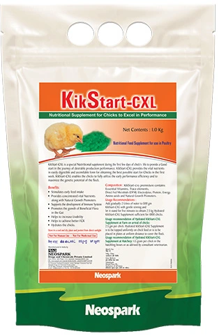 KikStart-CXL