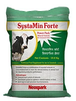 SystaMin Forte